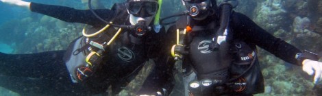 Scuba diving in Utila, Honduras